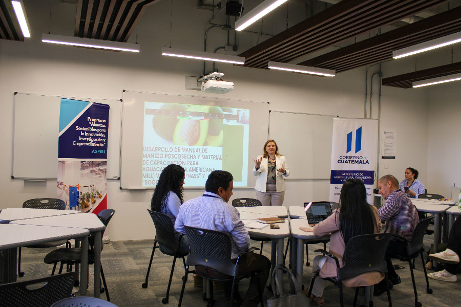 Mujer hablando frente a un grupo en un salon. 