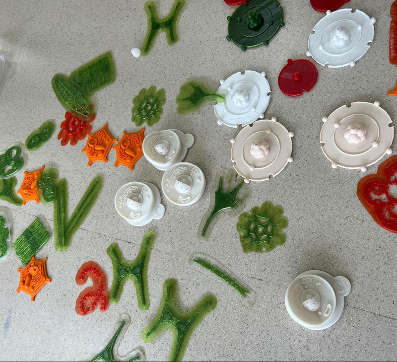 Varios modelos en plástico de diferentes colores y formas arreglados sobre una mesa.