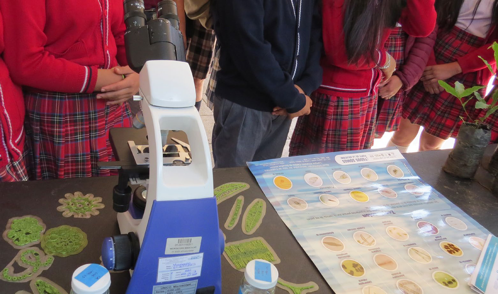 Niños de edad escolar en frente de una mesa que contiene modelos verdes en 3D de fitoplankton, un microscopio, y un póster con fotos de microorganismos.