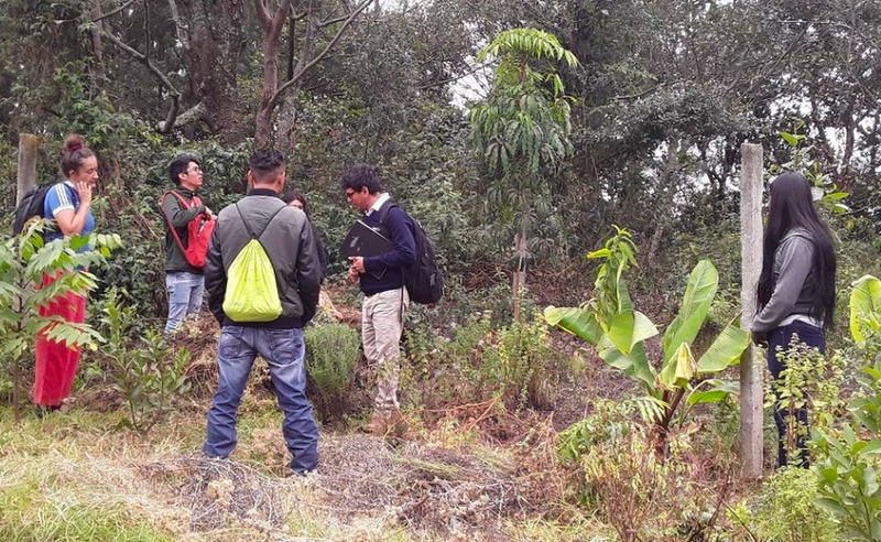 Equipo de investigación intercambiando ideas para el establecimiento del Jardín Etnobotánico. Fotografía por Ernesto Arredondo, cortesía del Proyecto Arqueológico Semetabaj de la UVG.