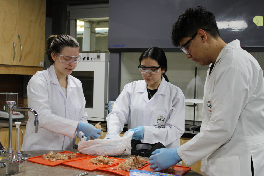 Three students in lab coats in a laboratory.