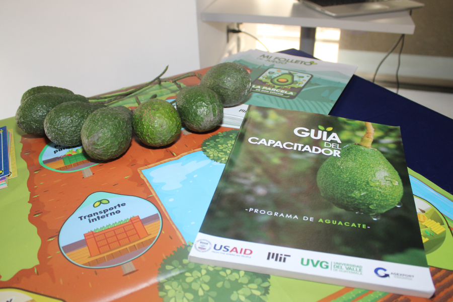 Avocado booklet