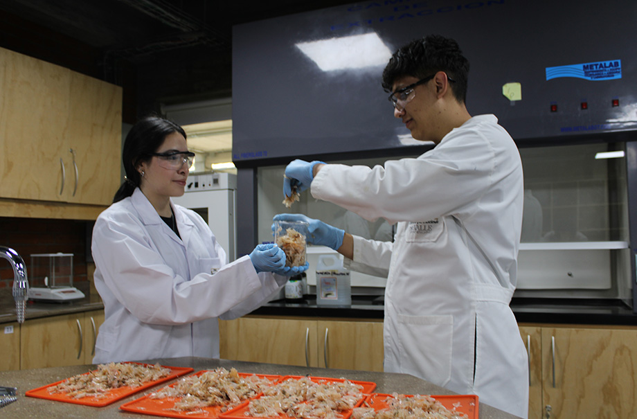2 personas en un laboratorio