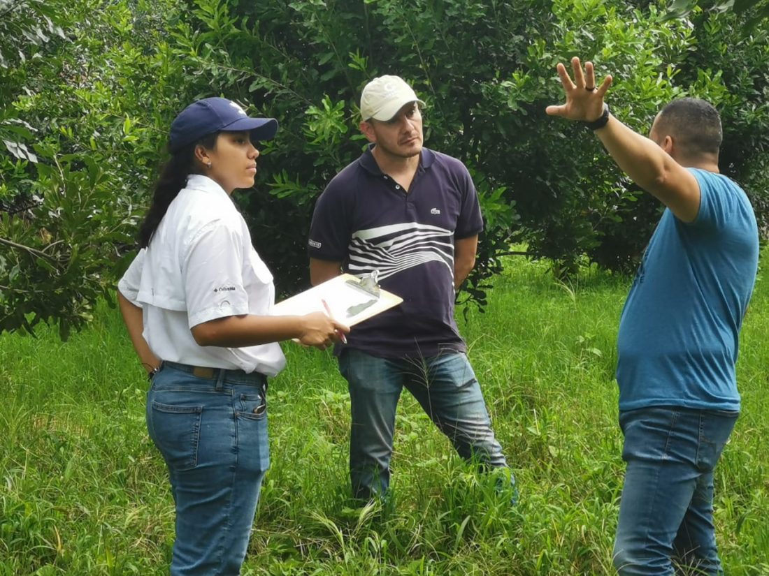 Tres personas en visita de campo hablando al aire libre.