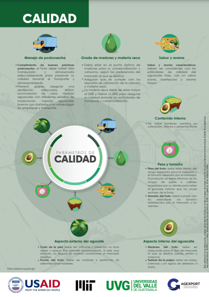 Infografía 3