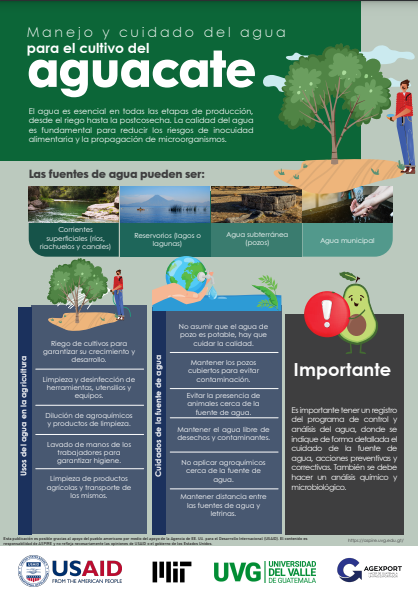 Infografía 3
