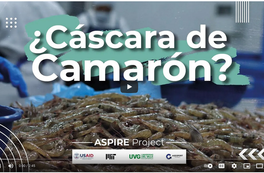 start of video reading Cascara de Camaron, or Shrimp shell