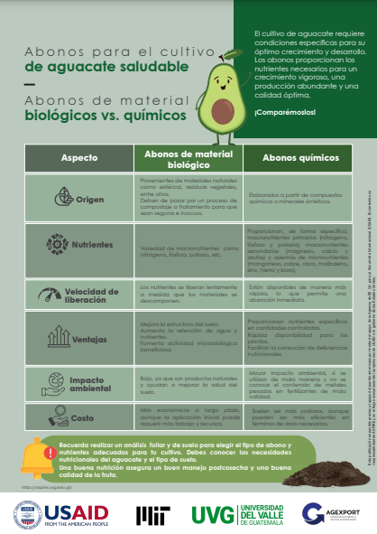 Infografía 3