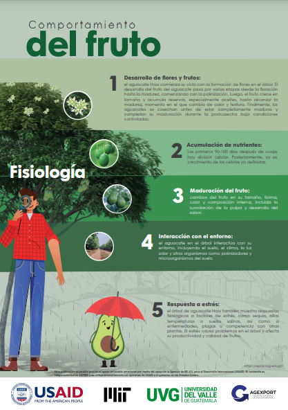 Infografía 3