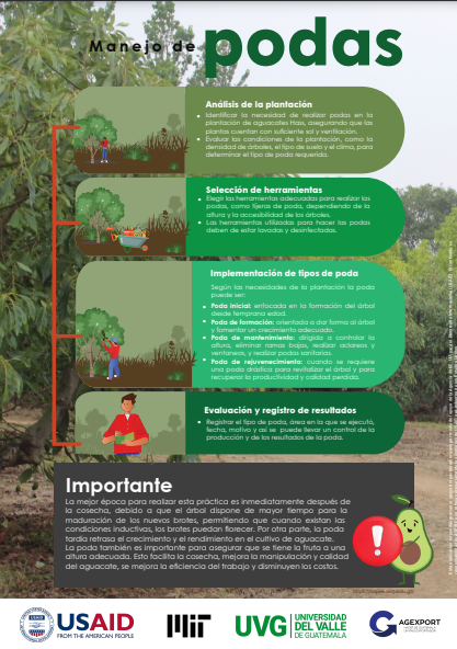 Infografía 3